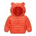 thumbnail image 1 of Hrsba Fall and Winter Children's Down Jacket Kids Lightweight Long Sleeved Warm Outerwear for 1 to 6 Years Old Boys and Girls, 1 of 3