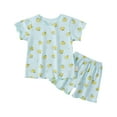 thumbnail image 1 of Hrsba Girls Short Set Short Sleeve Crew Neck Tee And Elastic Waist Loose Shorts Two Piece Home Clothing Set, 1 of 3