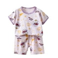 thumbnail image 1 of Hrsba Kids Summer 2 Piece Outfits Sets,Kids Summer 2 Piece Outfits Short Sleeve Round Neck Toddler Summer Short Sleeve Round-Neck Blouses & Shirts Sets, 1 of 3