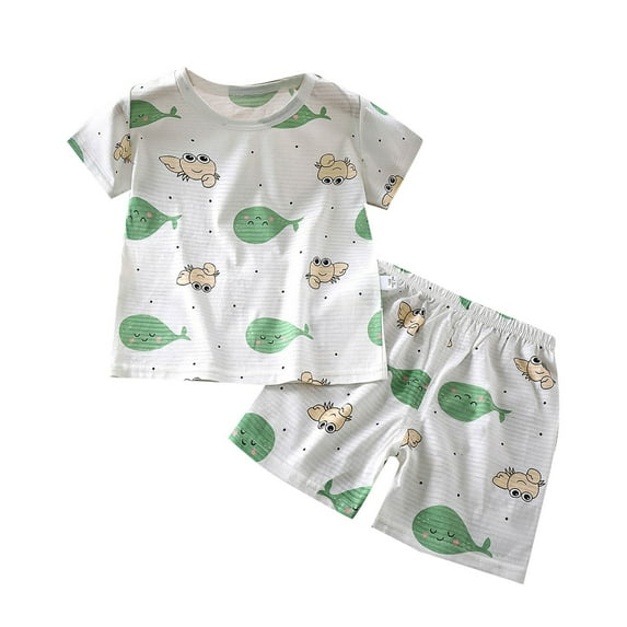 Hrsba Kids Summer 2 Piece Outfits Sets,Summer 2 Piece Outfits Clothes Short Sleeve Round Neck Toddler Summer Clearance Short Sleeve Round-Neck Blouses & Shirts Sets