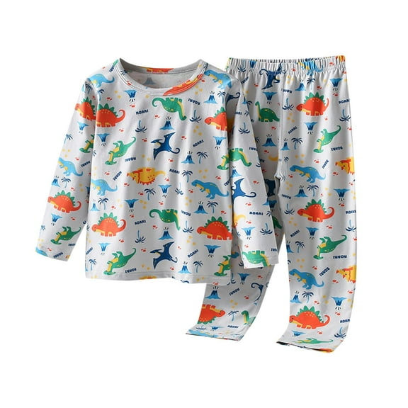 Hrsba Toddler Winter Casual Two-piece Outfit Sets， Children's Home Suit Set Solid Color Long Sleeve Crew Neck Top With Dinosaur Print And Elastic Waist Pants Sleepwear For Kids 3-15 Years