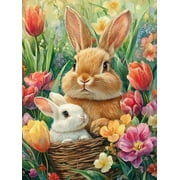 HsdsBebe Easter DIY Diamond Art Painting Kit, Rabbit Art Craft Gem Painting Adult and Children DIY Full Round 5D Diamond Drill Kit