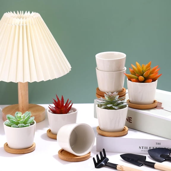 Hsei 24 Pack 2.5 Inch Mini Succulent Plant Pots with Bamboo Tray