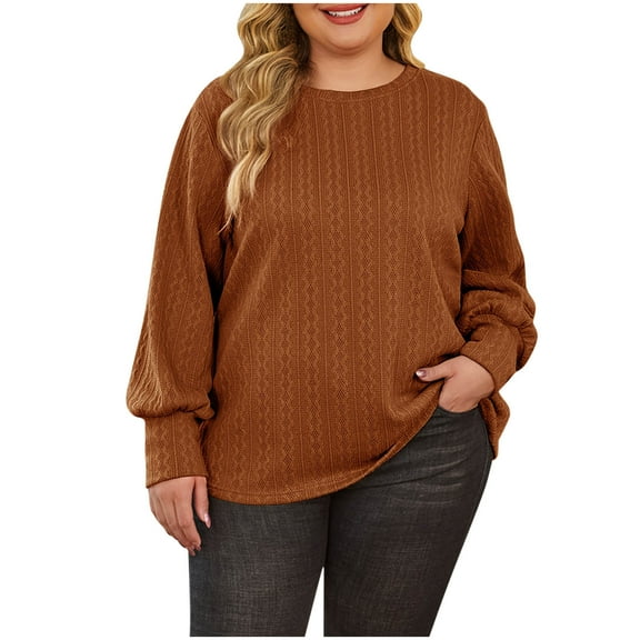 Htigea Fall Long Sleeve Shirts for Women Textured Crewneck Tunic Tops Solid Fall Pullover Tee Brown M