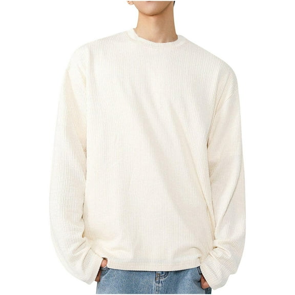Dagegui Men's Crew Neck Shirts Textured Long Sleeve Pullover T-Shirts Casual Loose Fit Tee Fall Basic Tops White M