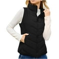 thumbnail image 1 of Htigea Puffer Vest for Women Sleeveless Zip Up Outerwear Stand Collar Quilted Vest Warm Winter Jackets Coats with Pocket Black S, 1 of 9