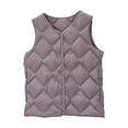 thumbnail image 1 of Htigea Quilted Sleeveless Jackets for Women Solid Casual Vest Lightweight Fall Winter Warm Tops with Pockets Purple L, 1 of 4