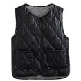 thumbnail image 1 of Htigea Sleeveless Jackets for Women Snap Button Quilted Vest Solid Waistcoat Lightweight Everyday Casual Gilet with Pocket Black XXXL, 1 of 3