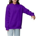 thumbnail image 1 of Htigea Womens Fleece Hoodies Plus Size Hooded Pockets Sweatshirts Oversized Long Sleeve Pullover Tops Outdoor Active Sweatshirt Purple XXXXL, 1 of 8