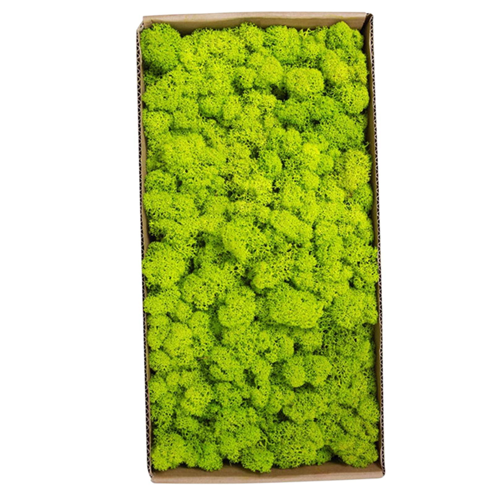Preserved Moss Wall Decor Real Preserved Moss No Maintenance Required  Naturally Preserved Moss for Home Wall Party Festivals Crafts Xmas Indoor  Office Decoration 