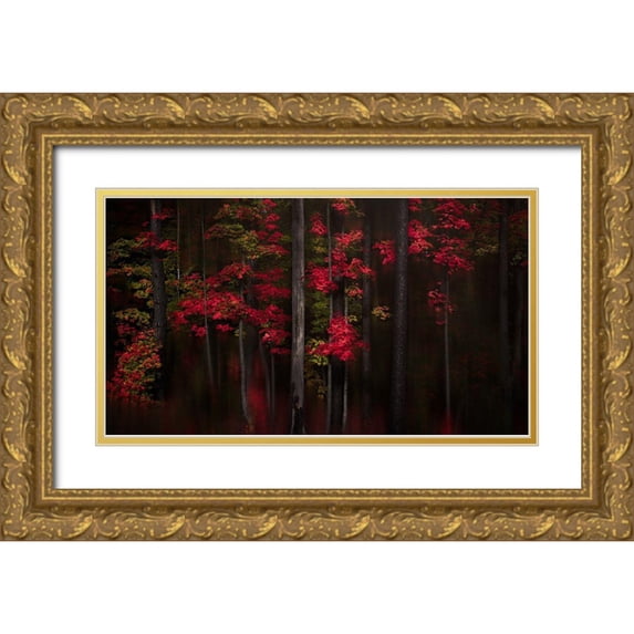 Hu, Andy 24x15 Gold Ornate Wood Framed with Double Matting Museum Art Print Titled - Getting Red