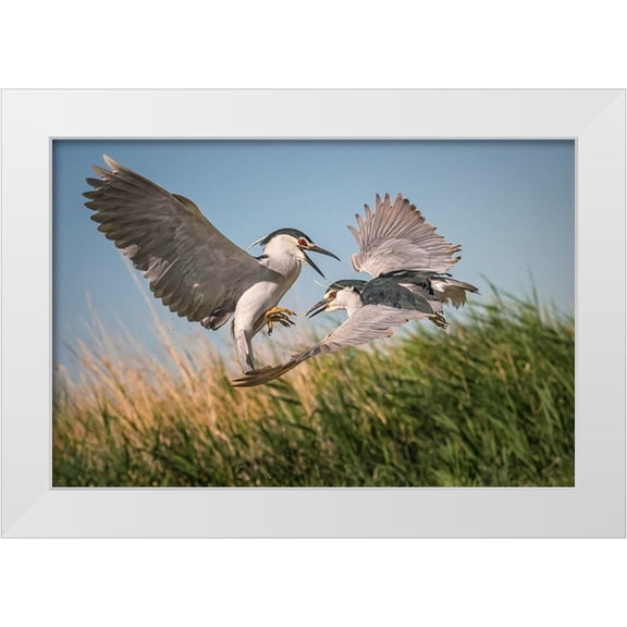 Hu, Mei 14x11 White Modern Wood Framed Museum Art Print Titled - Courtship