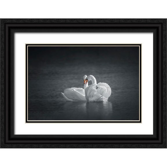 Hu, Mei 24x17 Black Ornate Wood Framed with Double Matting Museum Art Print Titled - Public Display of Affection