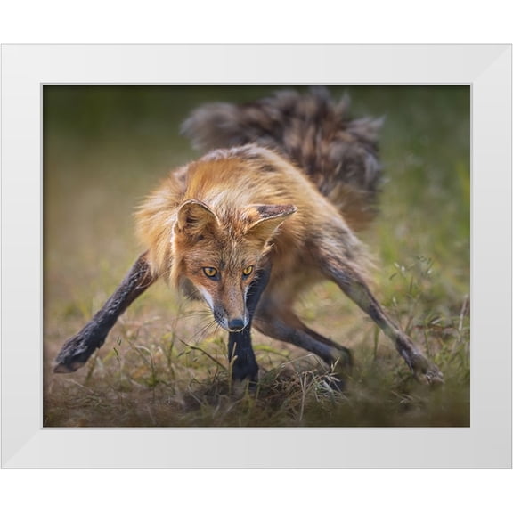 Hu, Mei 32x26 White Modern Wood Framed Museum Art Print Titled - Ready To Fight