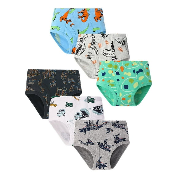 HuaAngel Boys Cotton Briefs Underwear Breathable Comfortable Soft Panties 6 Pack Size 2-7