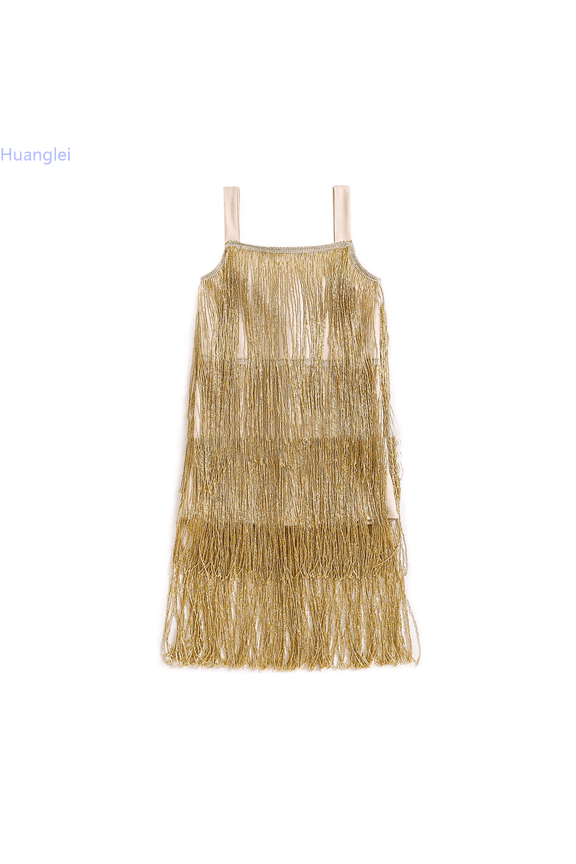 Girls Flapper Dress Sequins Fringe Latin Dance Dress Tassel Tango Dress Flower Girls Dress 2-3 Years