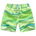 thumbnail image 1 of Huanledash Beach Shorts Printing Quick Dry Swimsuit Boys Bathing Suit Beach Shorts for Beach, 1 of 8