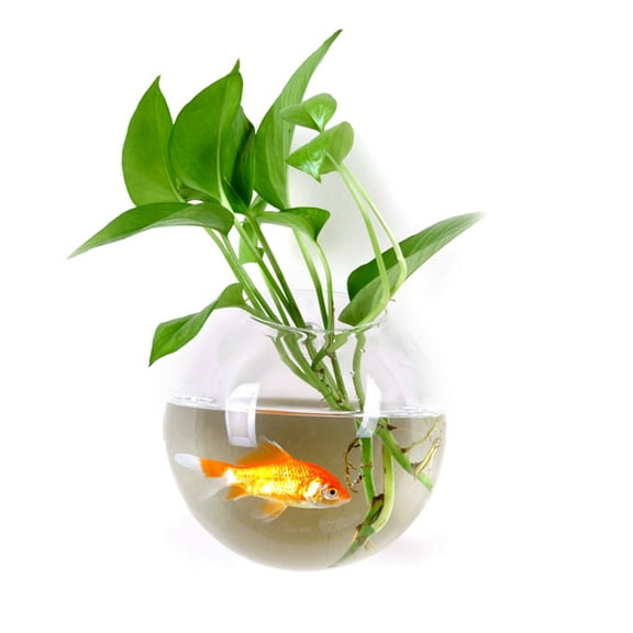 Huanledash Hydroponic Vase Flower Water Drop Heart Shape Transparent Wall Hanging Glass Flower Vase Terrarium Wall Fish Tank Aquarium Container Home Decor