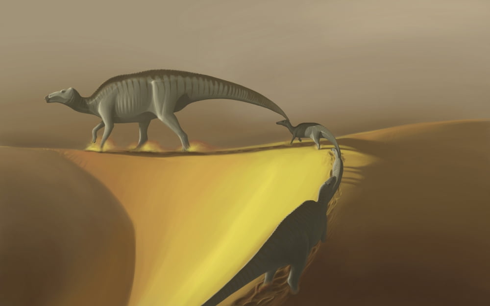 Huaxiaosaurus aigahtens dinosaurs migrate across a desert Canvas Art - Michele DessiStocktrek Images (36 x 23)