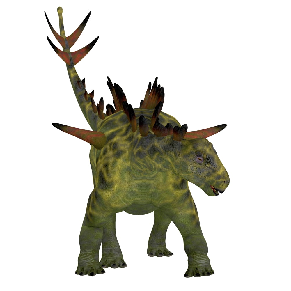 Huayangosaurus dinosaur front view Canvas Art - Corey FordStocktrek Images (28 x 28)
