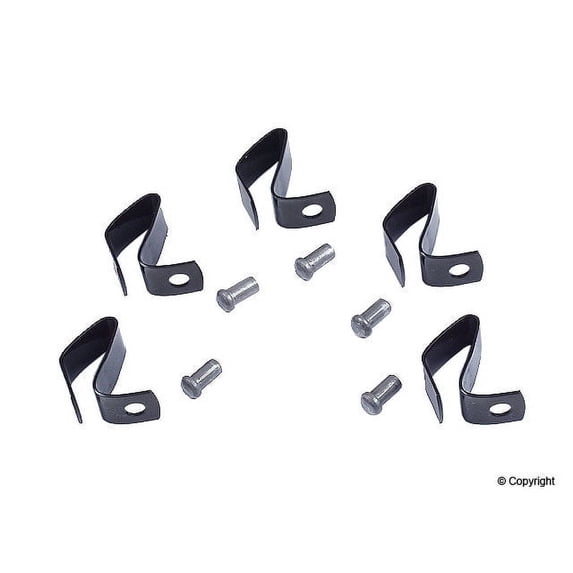 Hub Cap Spring