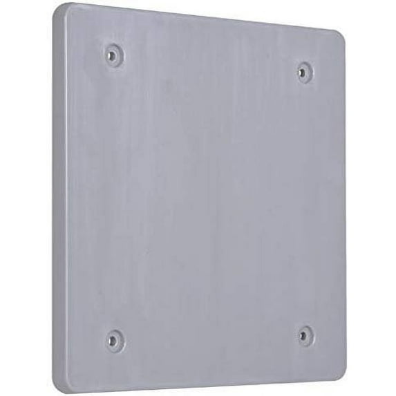 Hubbell Blank Wall Plate Cover - Nonmetallic, Weatherproof, 2 Gang - Gray