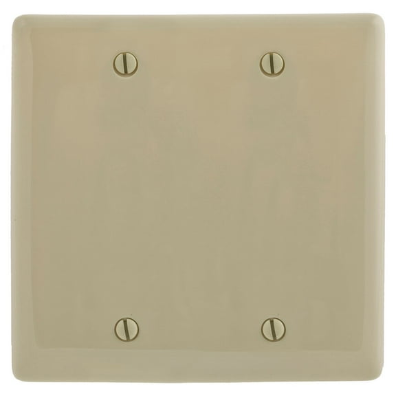 Hubbell NPJ23I Ivory Mid-Size 2-Gang Blank Nylon Box Mount Wall Plate