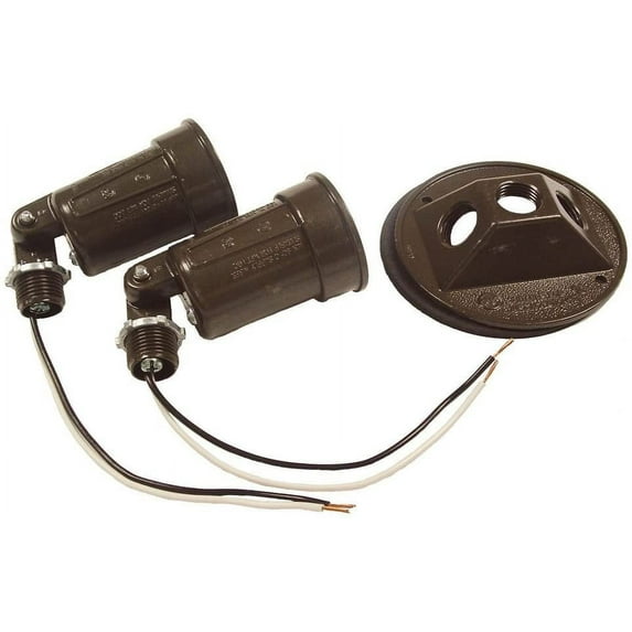 Hubbell-Raco 5625-2 Combination Weatherproof Lamp Holder, 75-150 W, Par38, Metal, Bronze