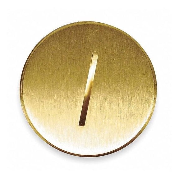 Hubbell Wiring Device-Kellems Box Cover, 1 Gang, Brass, Flush Cover Type S5020