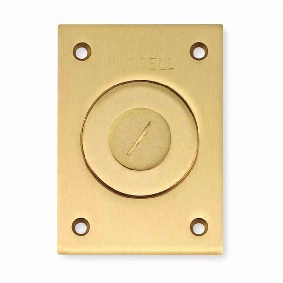 Hubbell Wiring Device-Kellems Box Cover, Floor Box Type, 1 Gang, Brass S2425