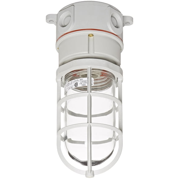 Hubbell Wiring Device-Kellems Marine Wiring Products, Non-Metallic Vaportight Fixture, Gray (NVX15GHGA) CA3