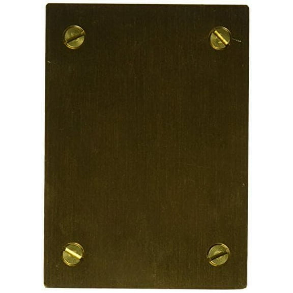 Hubbell Wiring Systems S3813 Brass Round Floor Box Rectangle Blank Cover, 4-5/32" Length x 2-63/64" Width