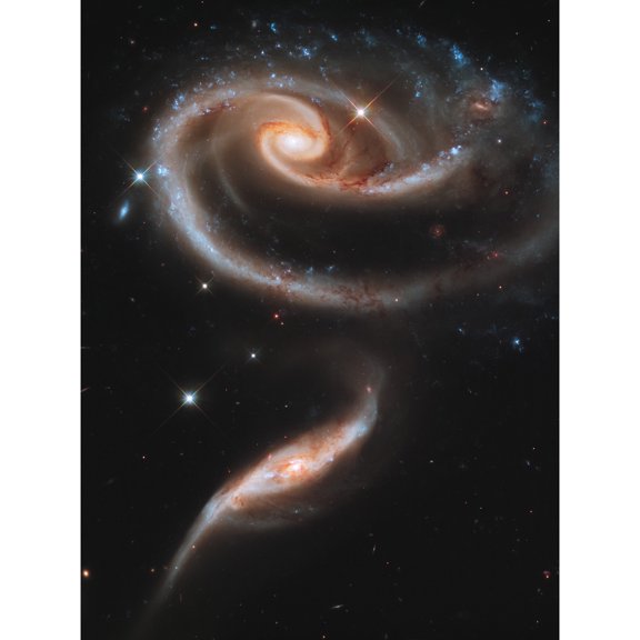 Hubble Space Telescope Image 21st Anniversary A Rose Made Of Interacting Galaxies Arp 273 Cosmic Flower Formation UGC 1810 And UGC 1813 Pair Unframed Wall Art Print Poster Home Decor Premium