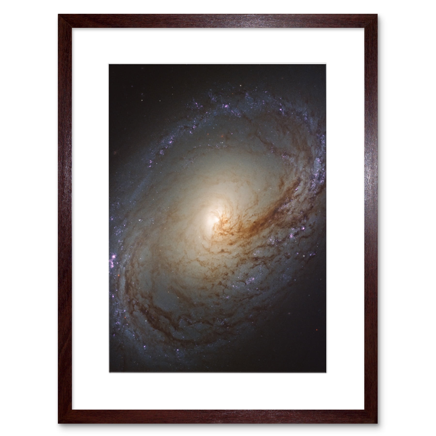 Hubble Space Telescope Image NGC 3368 Orange Blue Galaxy Also Known As ...
