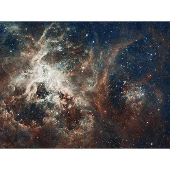 Hubble Space Telescope Image Panoramic View Of Bright Turbulent Stellar Birth Region 30 Doradus Tarantula Nebula Extragalactic Large Magellanic Cloud Unframed Wall Art Print Poster Home Decor Premium