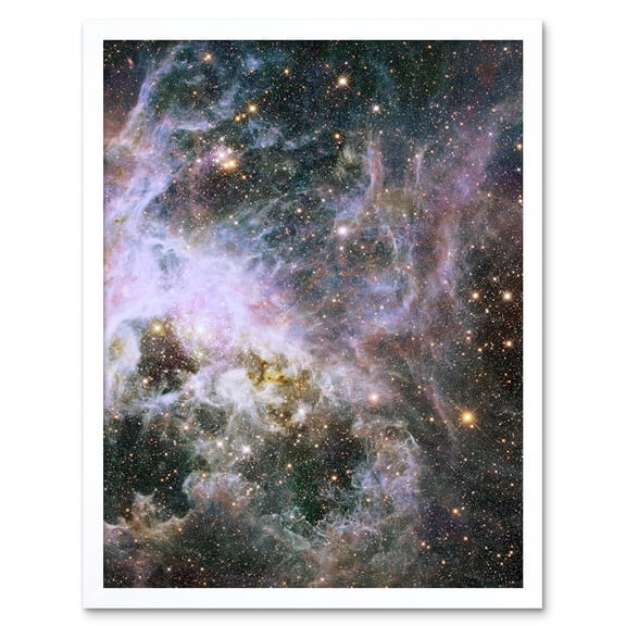 Hubble Space Telescope Image Probes Interior Of Tarantula Nebula Near Infrared Deep View 30 Doradus Star Birth Dust Large Magellanic Cloud Art Print Framed Poster Wall Decor 12x16 inch