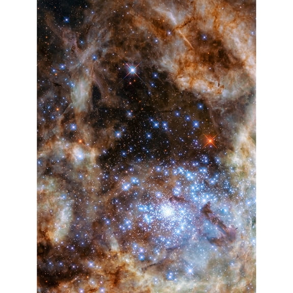 Hubble Space Telescope Image Star Cluster R136 Spectroscopic Study Of The Central Region Of Tarantula Nebula In The Large Magellanic Cloud Unframed Wall Art Print Poster Home Decor Premium