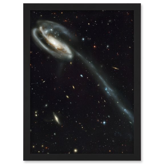 Hubble Space Telescope Image The Tadpole Spiral Galaxy Gravitational Forces Pair Collision Create Long Tail Gas Blue Star Birthing Debris Artwork Framed Wall Art Print A4