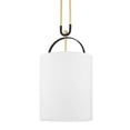 thumbnail image 1 of Hudson Valley Lighting 2034 Campbell Hall 14" Wide Pendant - Aged Brass / Black Brass, 1 of 4
