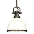thumbnail image 1 of Hudson Valley Lighting 2622 Randolph 1 Light 10" Wide Pendant - Bronze, 1 of 7