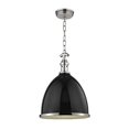 thumbnail image 1 of Hudson Valley Lighting 7714-BPN Viceroy 1 Light Small Pendant,Black/Polished Nic, 1 of 6
