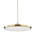 thumbnail image 1 of Hudson Valley Lighting - Draper - One Light Pendant in Modern Style - 20.25, 1 of 1