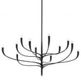 thumbnail image 1 of Hudson Valley Lighting - Labra - 12 Light Chandelier-Aged Iron Finish, 1 of 3