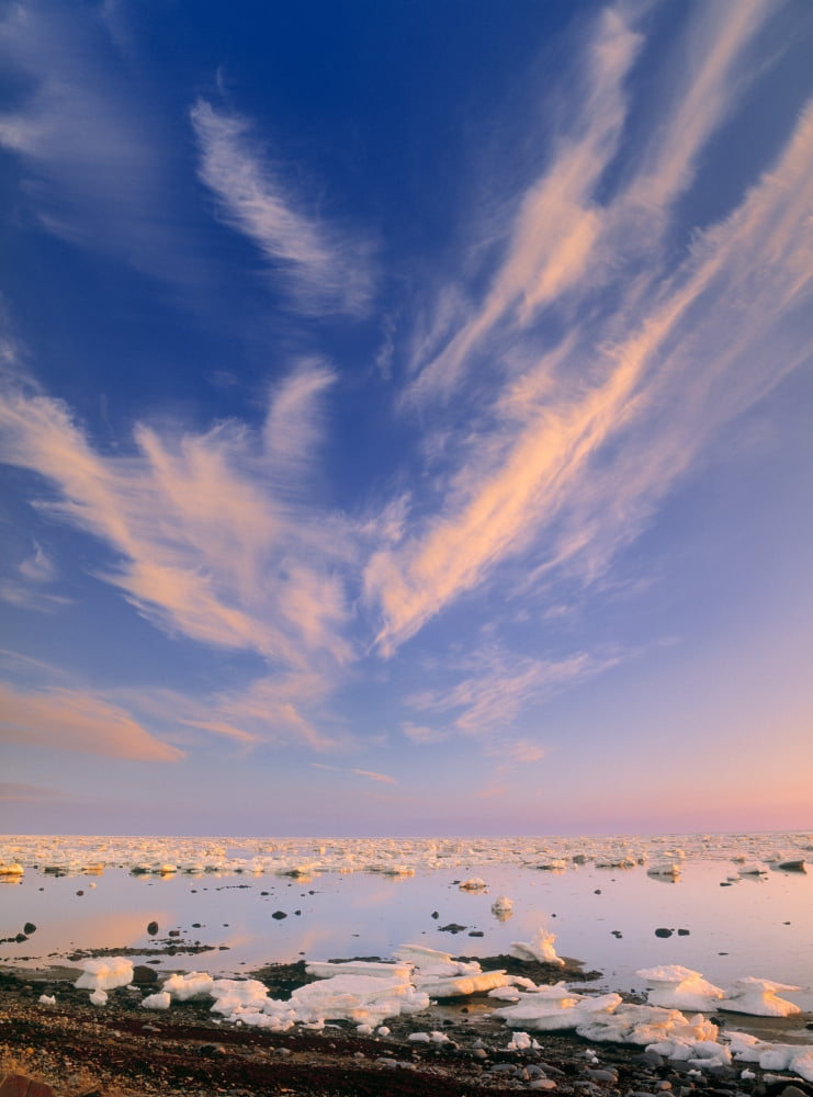 Hudsons Bay Churchill Manitoba Canada Canvas Art - Darwin Wiggett Design Pics (24 x 32)