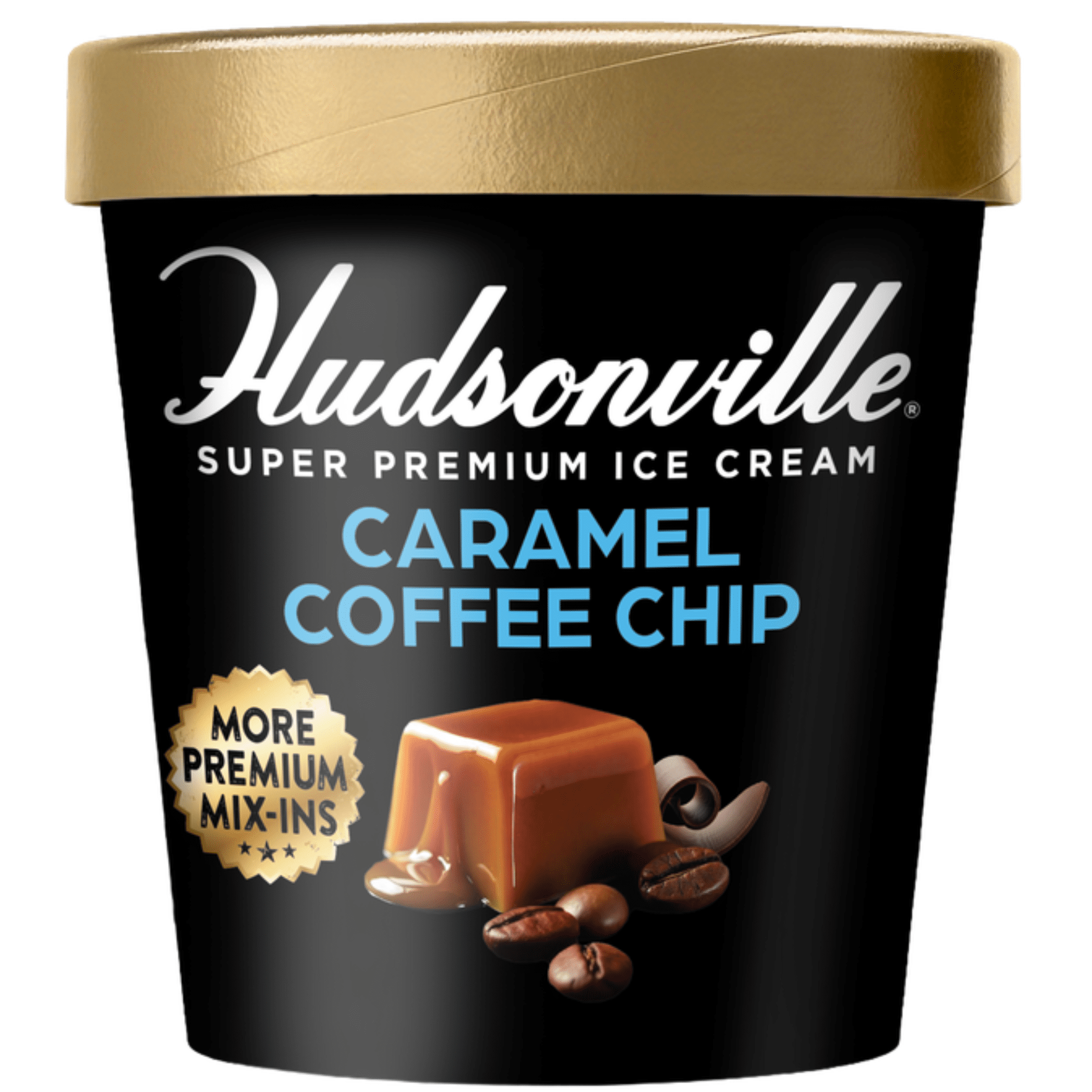 Hudsonville Extra Indulgent Caramel Coffee Chip Ice Cream Pint, 16