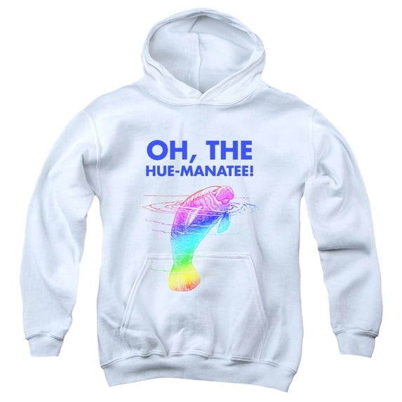 - Huemanatee - Youth Hooded Sweatshirt - Large