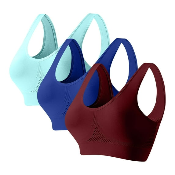 Hueook Pumping Bra 3pc Women Seamless Sports Bra Wirefree Yoga Bra with Removable Pads Wine 2X