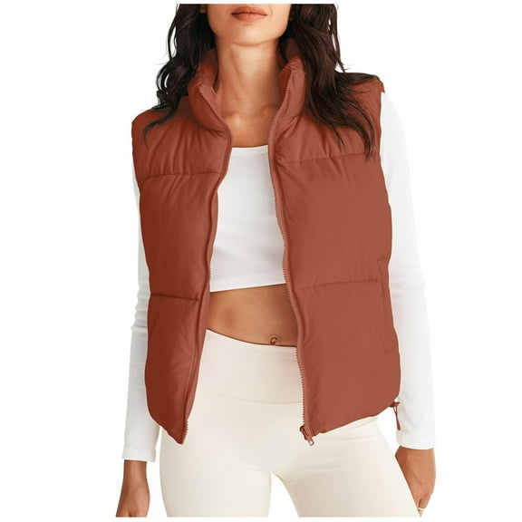 Hueook Winter Vest for Women Lightweight Warm Winter Coats Polar Soft Vests Outerwear with Zip Up Pockets Sleeveless Jacket for Winter 50% Off Clearance