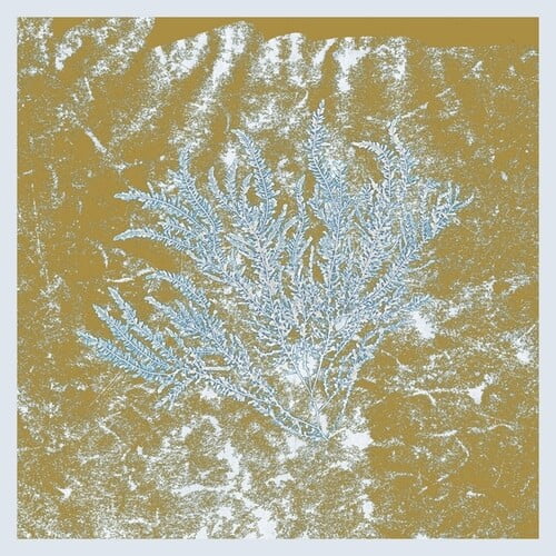 Huerco S - For Those Of You Who Have Never (And Also Those Who Have) - Music & Performance - Vinyl