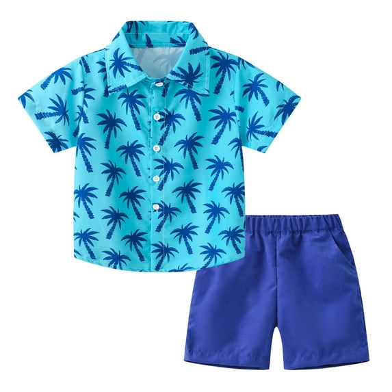 Huesdet Toddler Boys Button Up Tshirt Short Sleeve Hawaiian Beach Tops(Blue,2-3 Years)